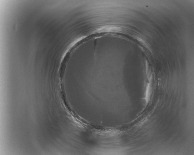 X0000058831117200510071814