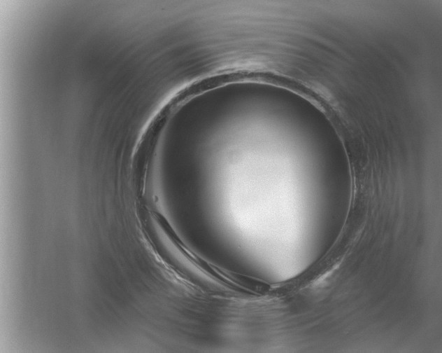 X0000058831118200510071814