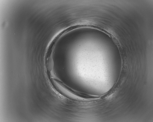 X0000058831120200510071814