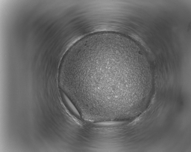 X0000058831121200510071814