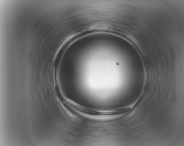 X0000058831123200510071814