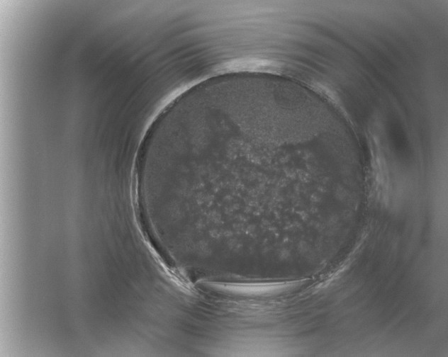 X0000058831125200510071814