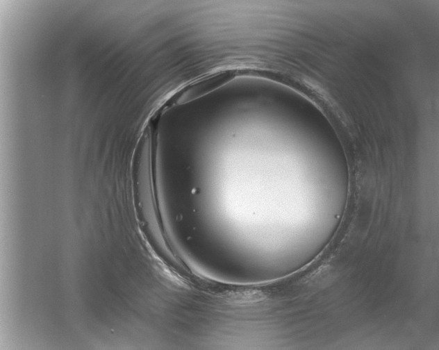 X0000058831129200510071814