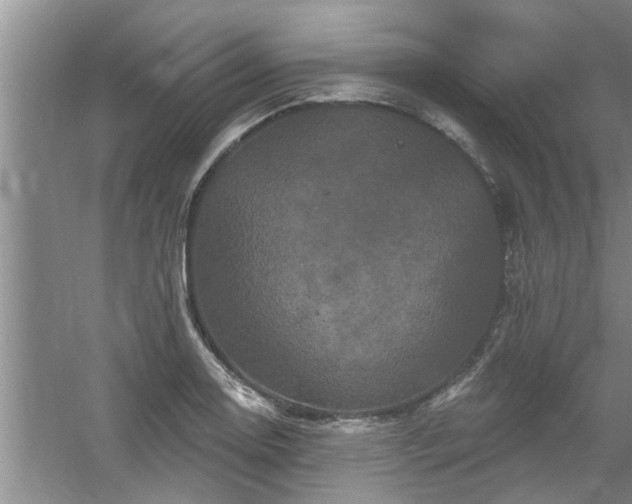 X0000058831130200510071814