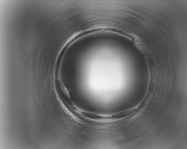 X0000058831134200510071814