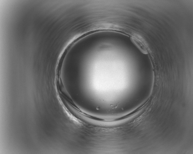 X0000058831136200510071814