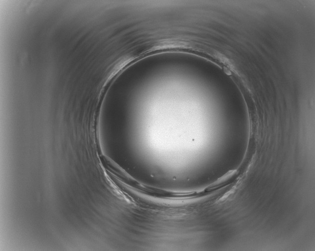 X0000058831137200510071814