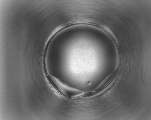 X0000058831138200510071814