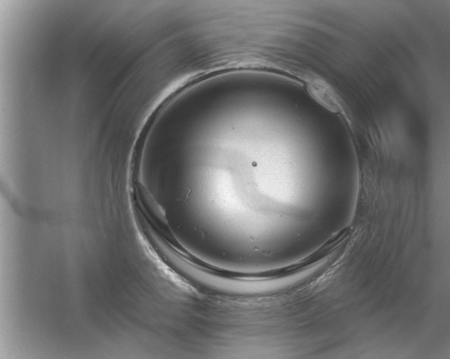 X0000058831142200510071814