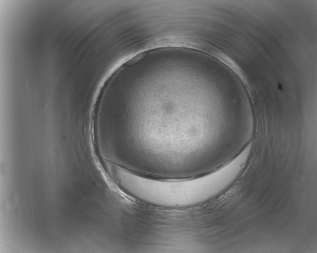 X0000058831144200510071814