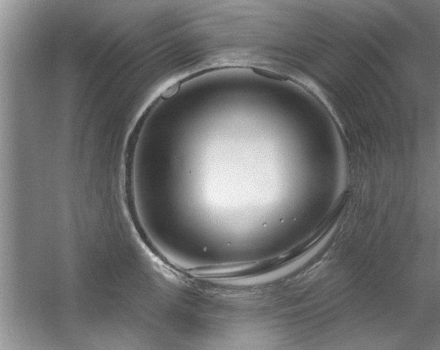 X0000058831147200510071814