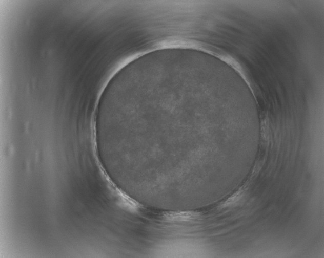 X0000058831150200510071814