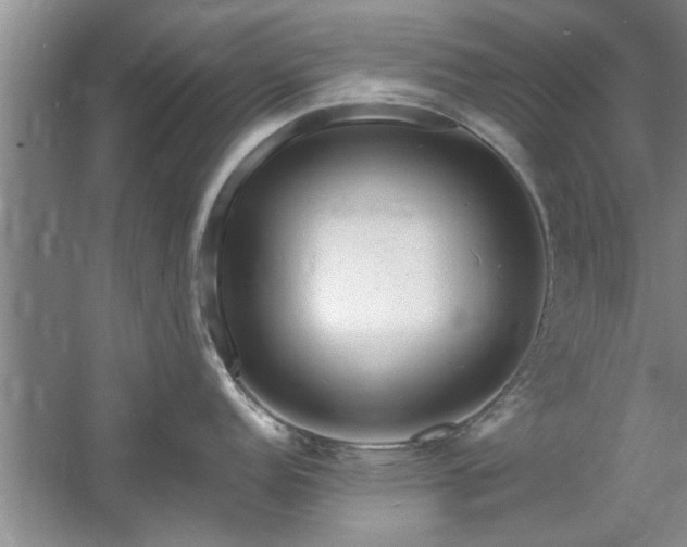 X0000058831152200510071814