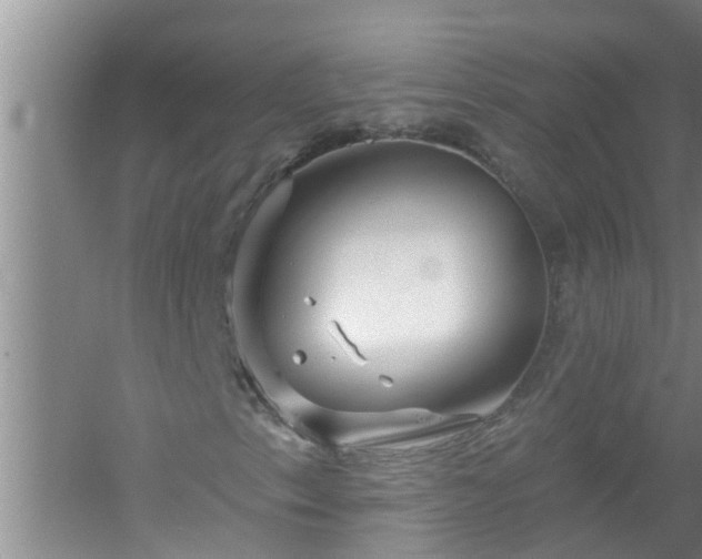 X0000058831153200510071813