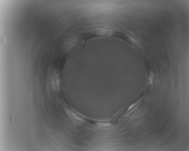 X0000058831154200510071813