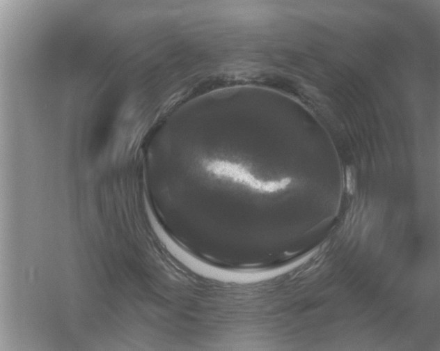 X0000058831155200510071813