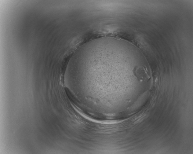 X0000058831156200510071813