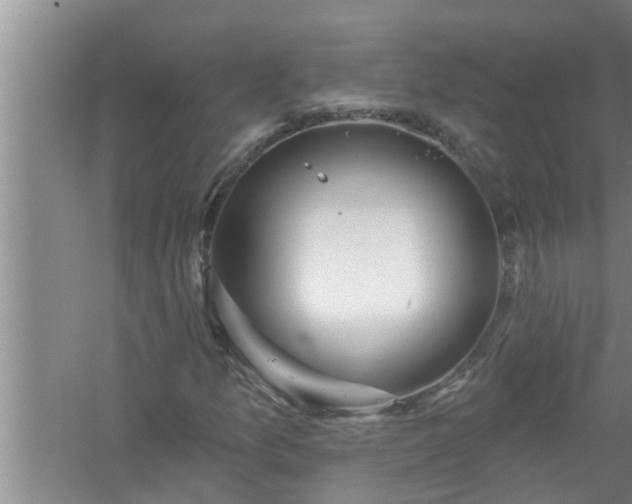 X0000058831157200510071813