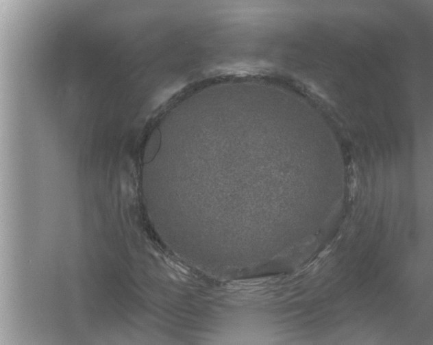 X0000058831158200510071813