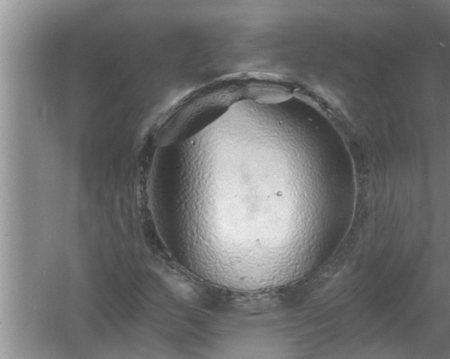 X0000058831159200510071813