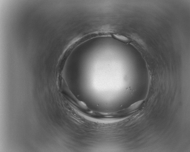 X0000058831160200510071813