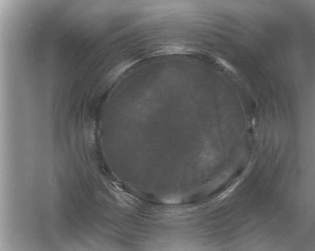 X0000058831161200510071813