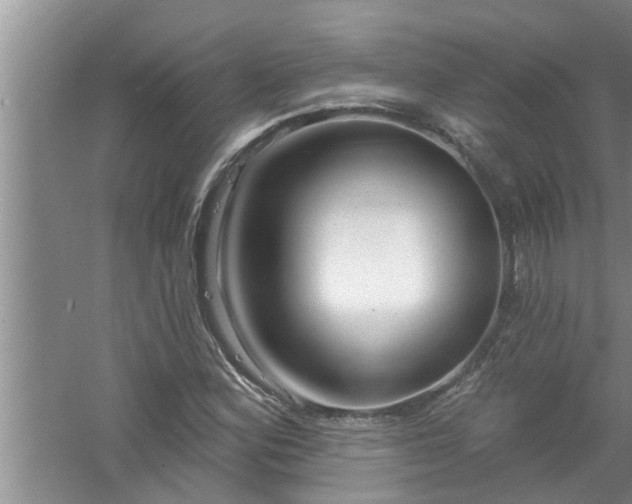 X0000058831164200510071813