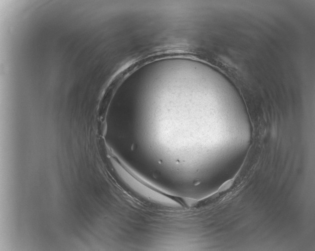 X0000058831166200510071813