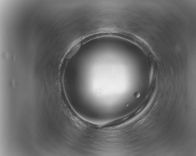 X0000058831168200510071813