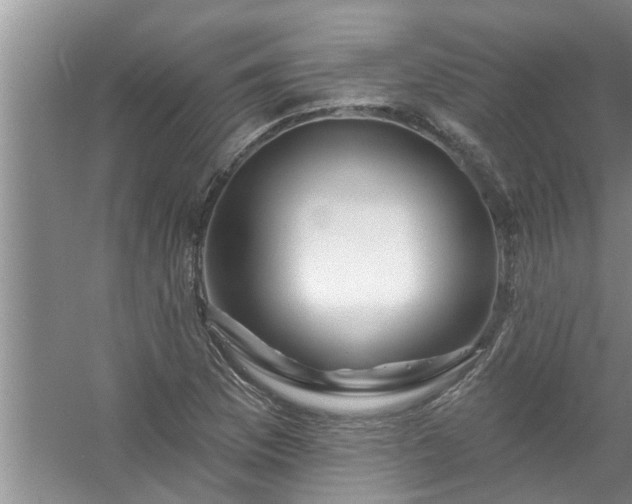 X0000058831169200510071813