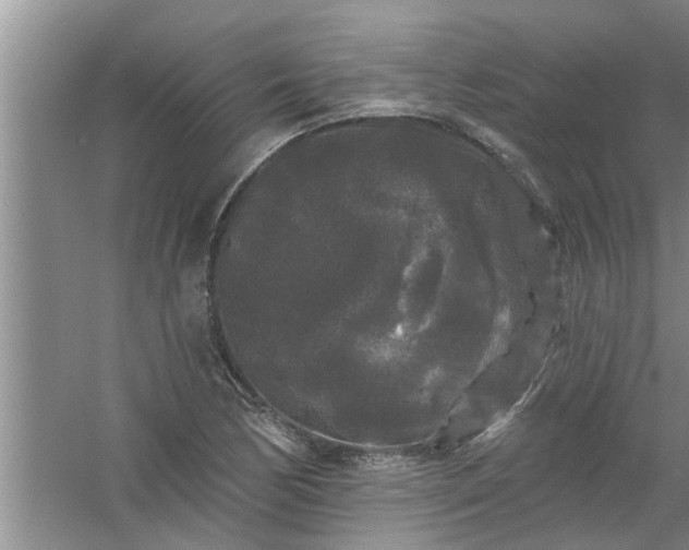 X0000058831170200510071813