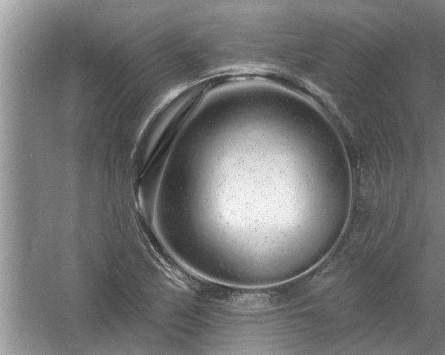 X0000058831171200510071813