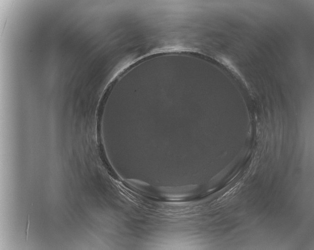 X0000058831173200510071813