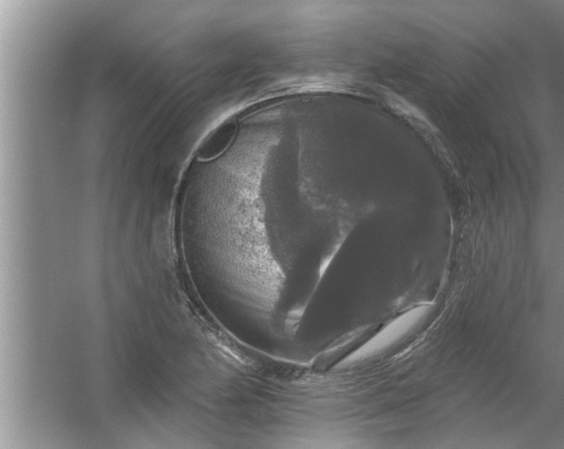 X0000058831174200510071813