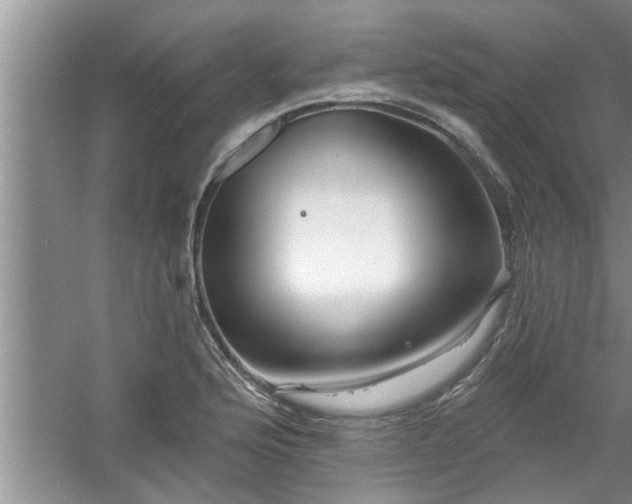 X0000058831176200510071813