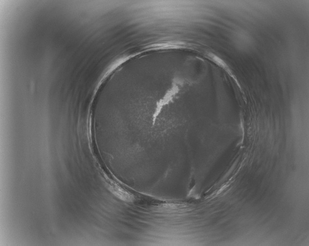 X0000058831179200510071813