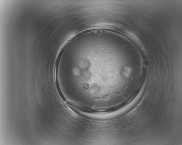 X0000058831180200510071813