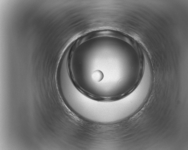 X0000058831181200510071813