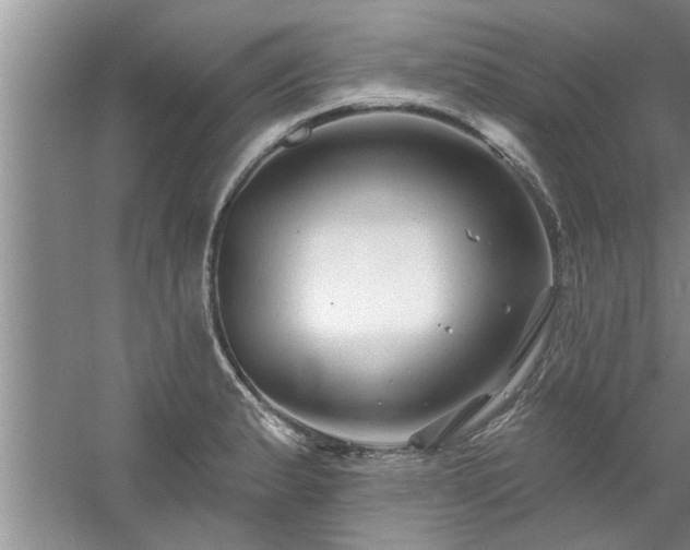 X0000058831183200510071813