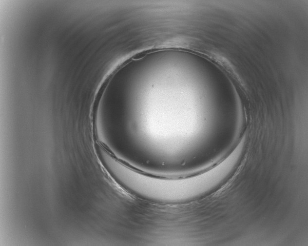 X0000058831184200510071813