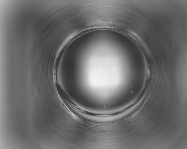 X0000058831188200510071813