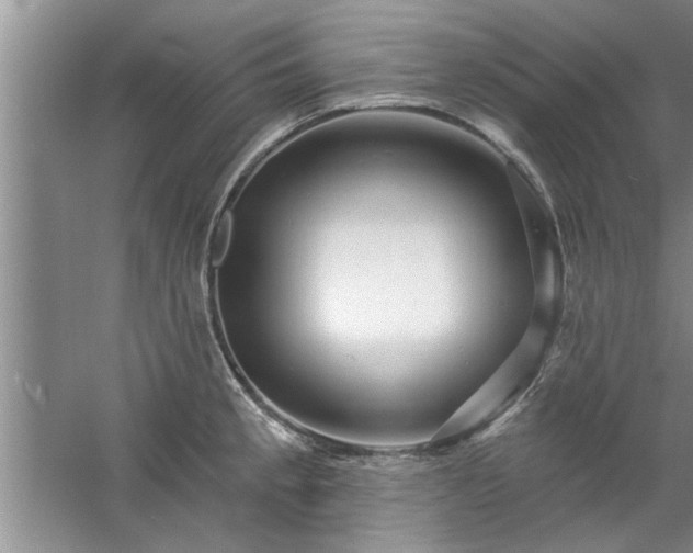 X0000058831189200510071813