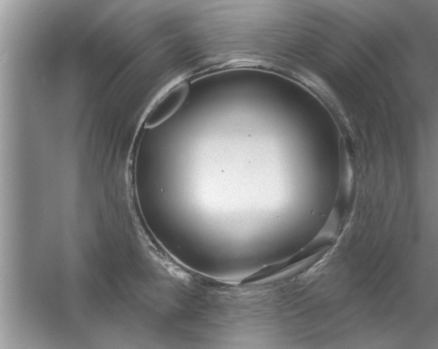 X0000058831190200510071813