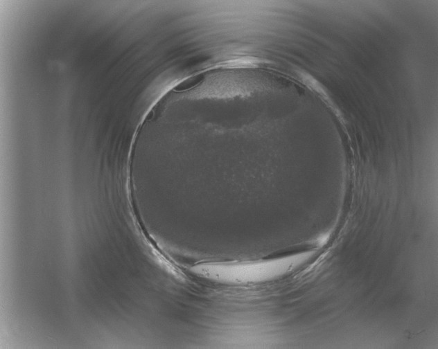 X0000058831194200510071813