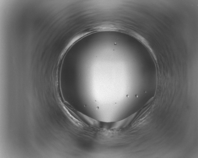 X0000058831195200510071813