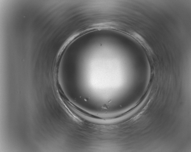 X0000058831196200510071813