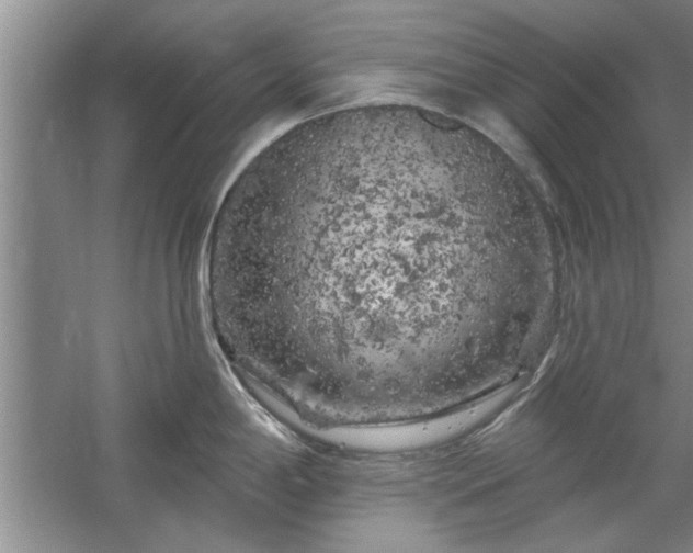 X0000058831198200510071813