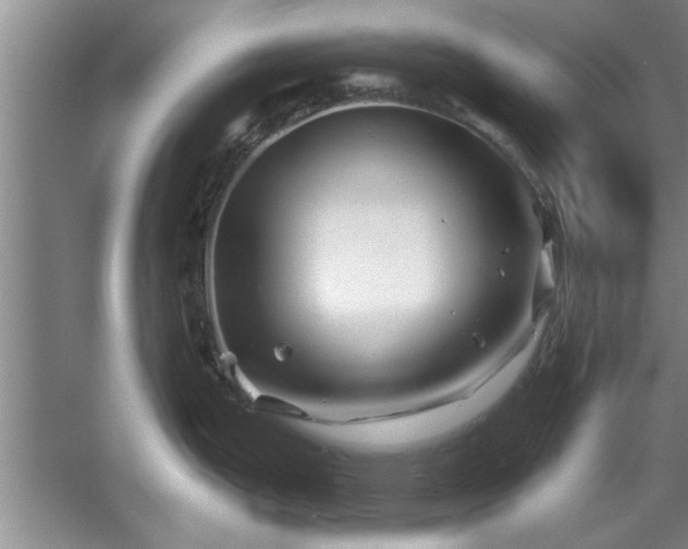 X0000058831199200510071813