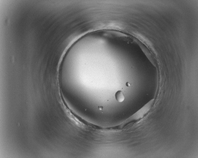 X0000058831200200510071813