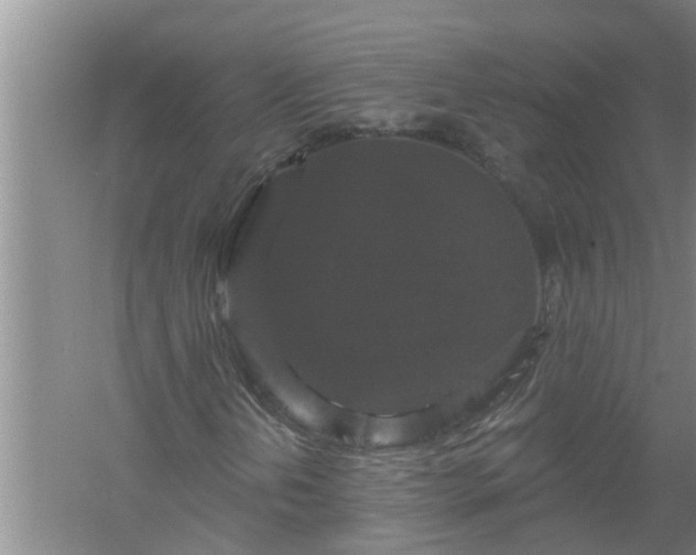 X0000058831202200510071812